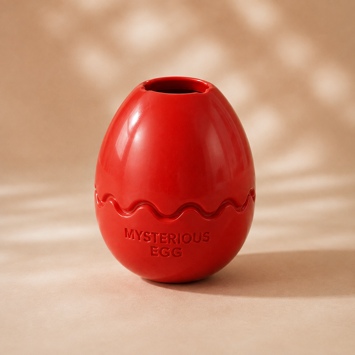 The Mystery Egg