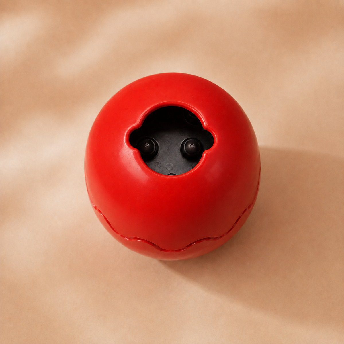 The Mystery Egg